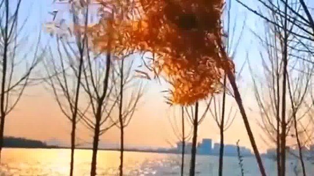 创业之路充满未知与挑战但困难塑造了我们的坚韧与智慧