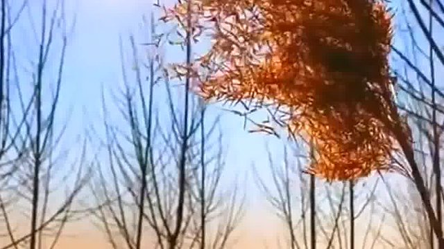 创业是人生中一次勇敢的飞跃