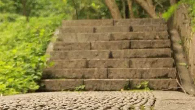 创业是对生活的热爱对未来的憧憬