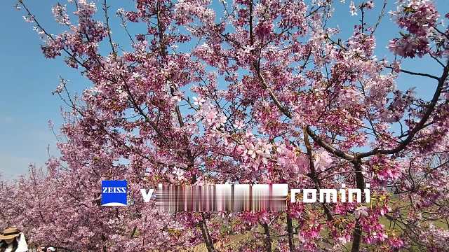 vivox200promini 4k60帧HDR视频直出效果