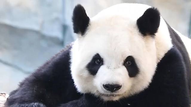 孩子上课不专注怎么办？