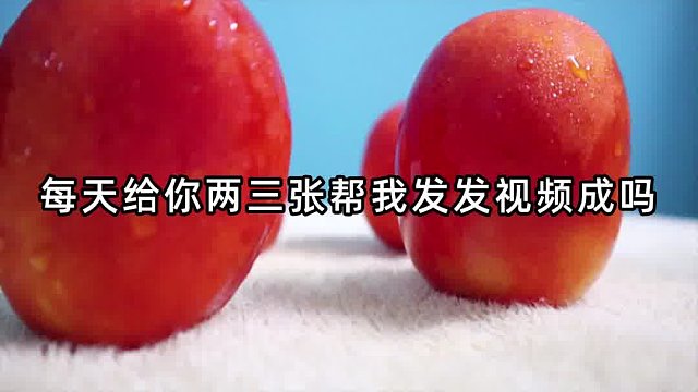创业加速超越自我