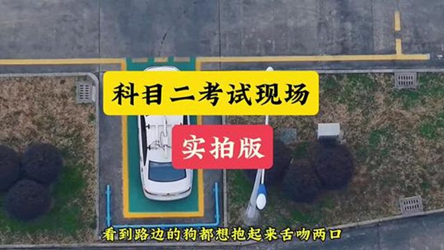 菜鸟乐园这不是更了吗？ 科目二实拍现场#驾考那些事儿#驾考 #驾考云飞哥 #科目二