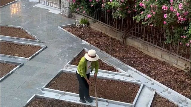 种菜是一件非常解压的事