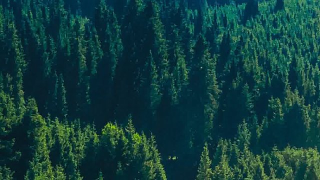 创业是追逐梦想的征程是书写传奇的开篇