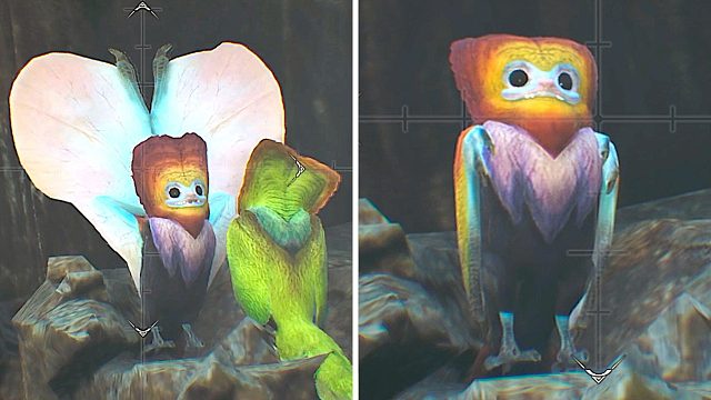 卡普空这种出生细节以后别加了 怪物猎人荒野