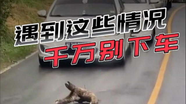 俗话说"生灵拦路，必有缘故"！遇到这几种情况你可千万别下车！