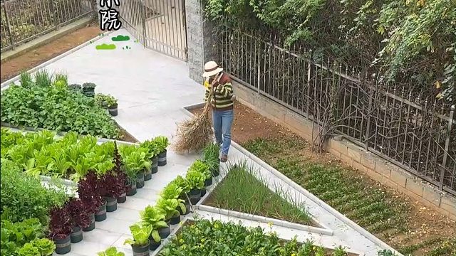 伴随着清晨的鸟叫，新的一天开始了