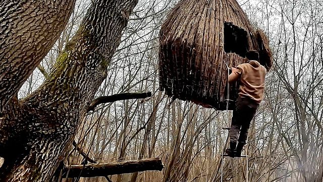 胆子有点小，怕树林里有野兽出没，靠点手艺把自己吊在了树上