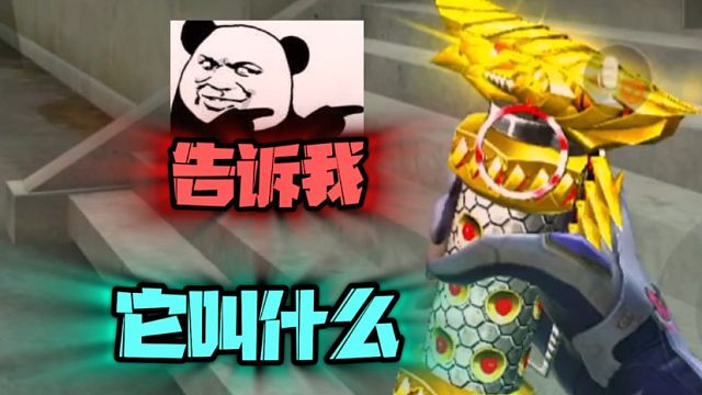 告诉我，它的外号叫什么？