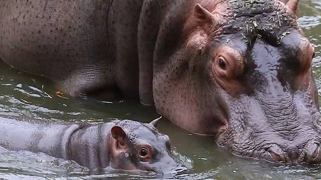 年轻就是好，一身牛劲使不完