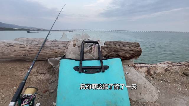 在海边跟狗子发现了一个神秘钓位