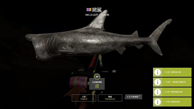 1981kg星姥鲨，3.10，下午9米坑失误清杯后，毛子晚上又补了一条