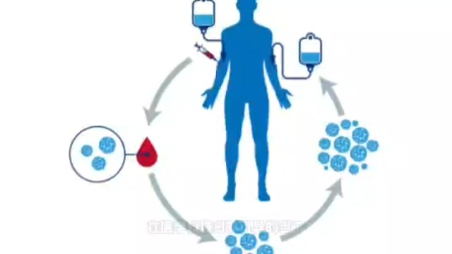 NK 细胞回输效果维持的怎样?#希诺赛细胞存储