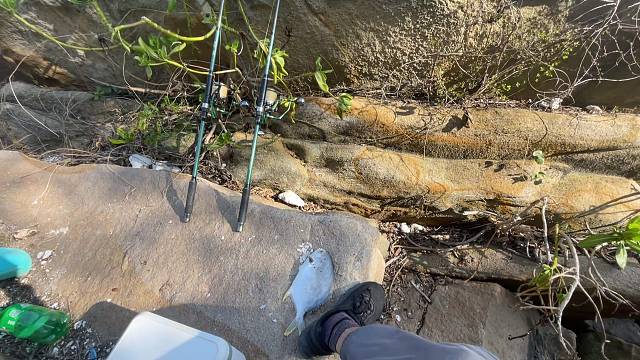 海边生存三天饿九顿