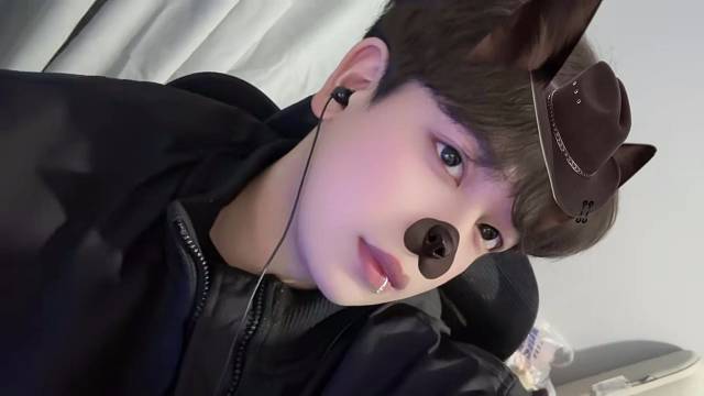 也许我会有一颗拥有黄昏的梧桐树