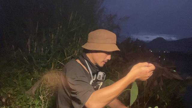 白条在手，天下我有，