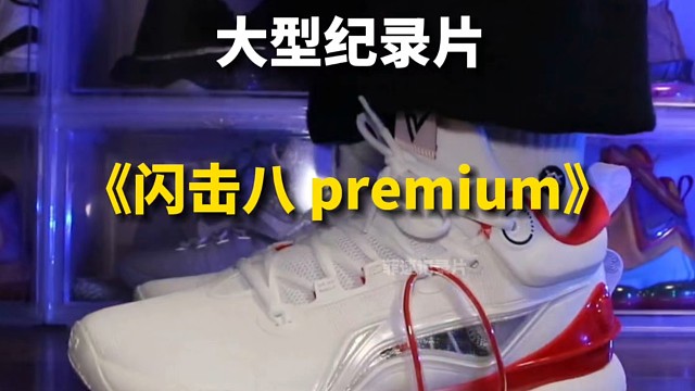 大型纪录片之《闪击8 premium》