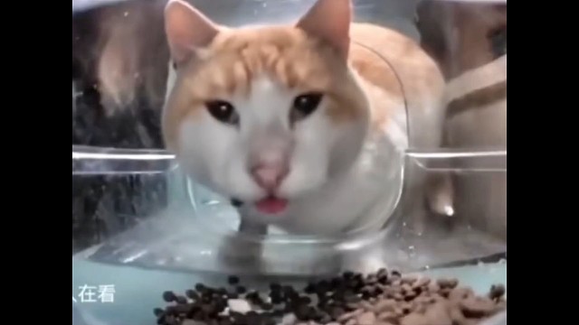 我的世界建筑纯享版