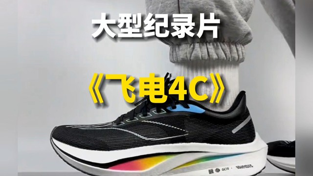 大型纪录片之《飞电4c》