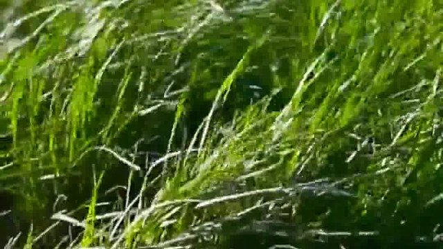 激情是点燃梦想的火种而长久的韧劲则是让梦想持续燃烧的燃料