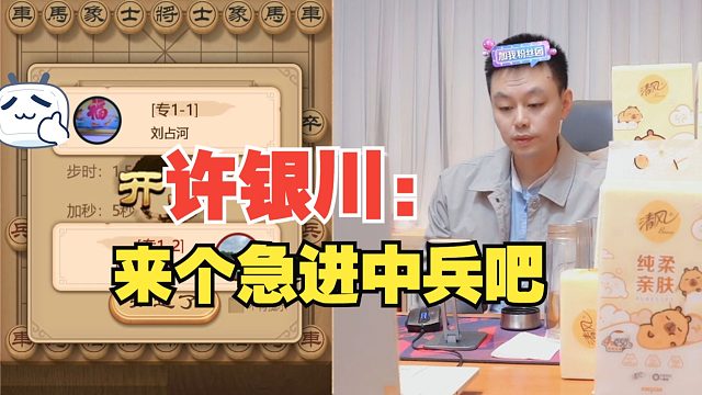 许银川：来个急进中兵吧