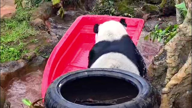 四个角度全景解锁舜船长出海的精彩操作~