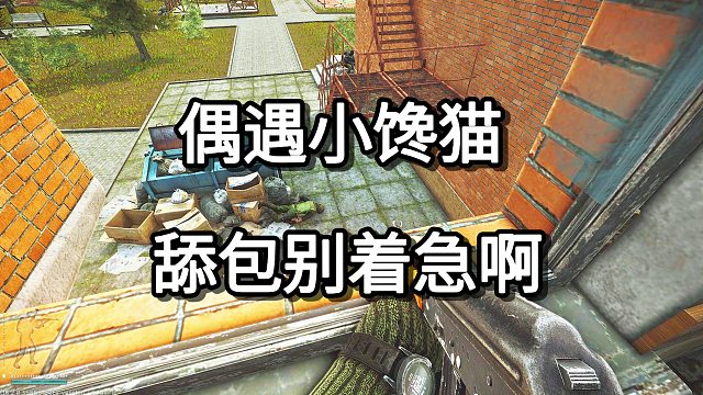 偶遇小馋猫 舔包别着急啊