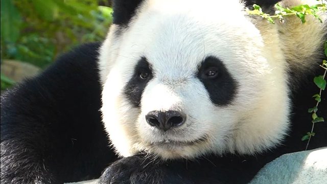 是哪家仙女宝宝呀~