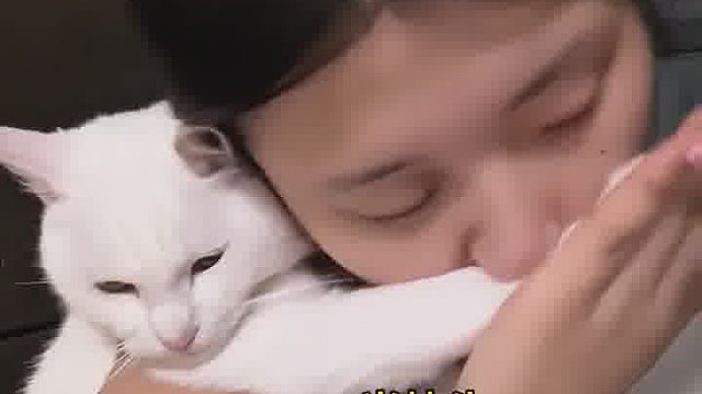 老鼠告诉俺娘，俺今晚不回来吃饭了