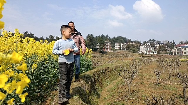 田野里的亲子时光