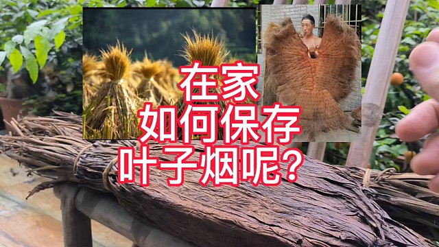 如何在家保存叶子烟才能让风味不流失？