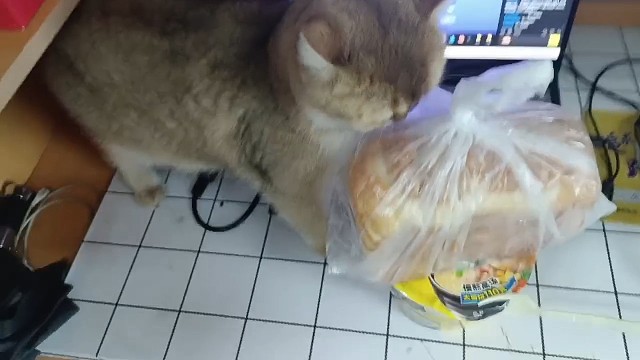 喂得你不对嘛   抢我饭吃