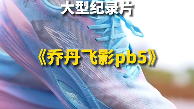 大型纪录片之《乔丹飞影pb5》