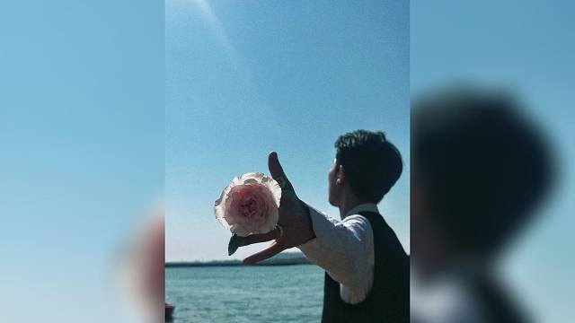 花与海