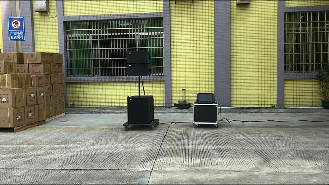 单10有源线阵扬声器