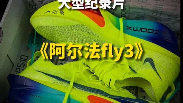 大型纪录片之阿尔法fly3