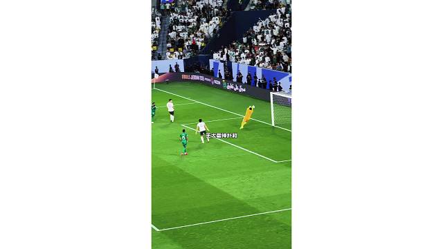 王大雷值得信赖，球迷视角欣赏下各种神扑救