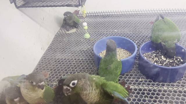 有偿，有要的吗