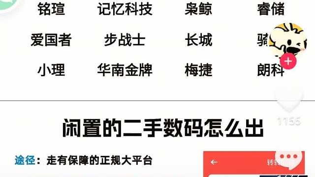 【兲TV】内存条品牌分级：朱雀-杂牌