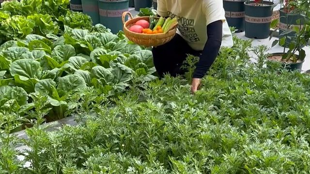 您看看人家这姐妹小日子过的 #田园生活