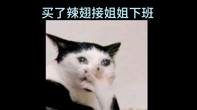 亲妹当助理是什么体验｜郑丹妮5ire长沙vlog上集｜还是妈妈生的女仆比较贴心