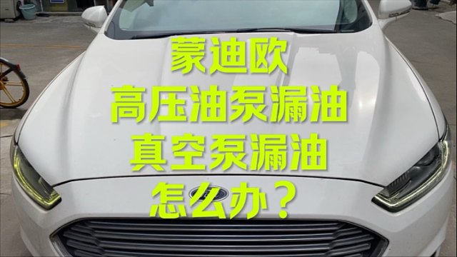 蒙迪欧真空泵 高压泵漏油 换什么？