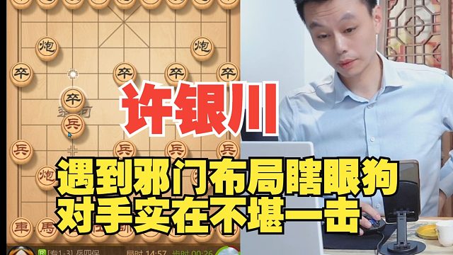 许银川大战瞎眼狗，对手实在不堪一击