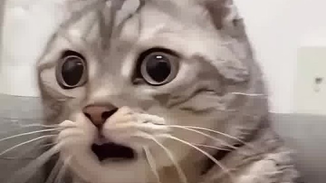 香蕉里也有虫子