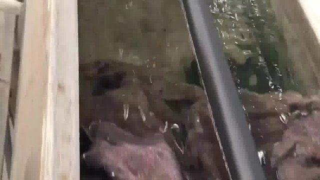 爆单进行时！看电缆如何24小时不间断生产