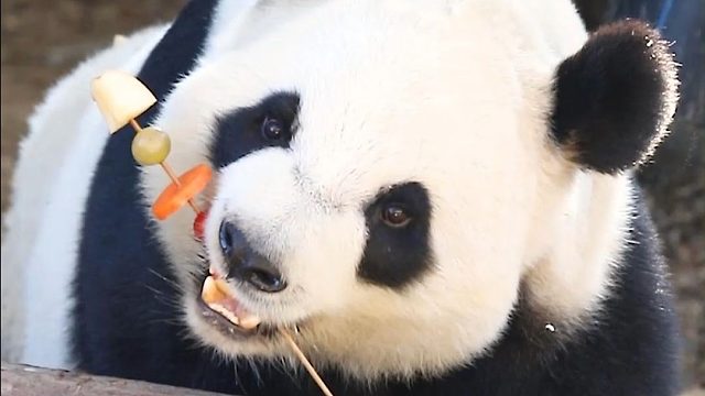 原来爱与不爱真的很明显