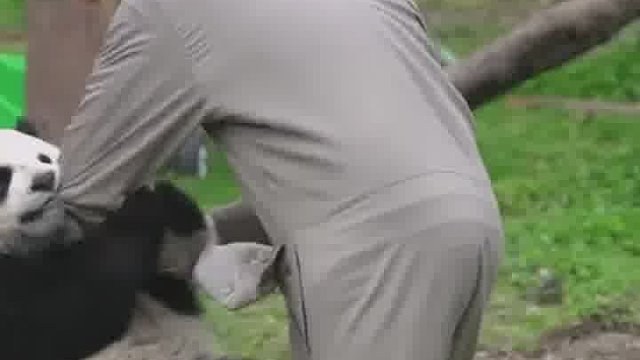 心情好的时候是亲一下抱一下，心情不好就东一块西一块