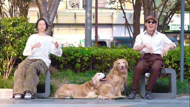 今天的樱花好漂亮呀！