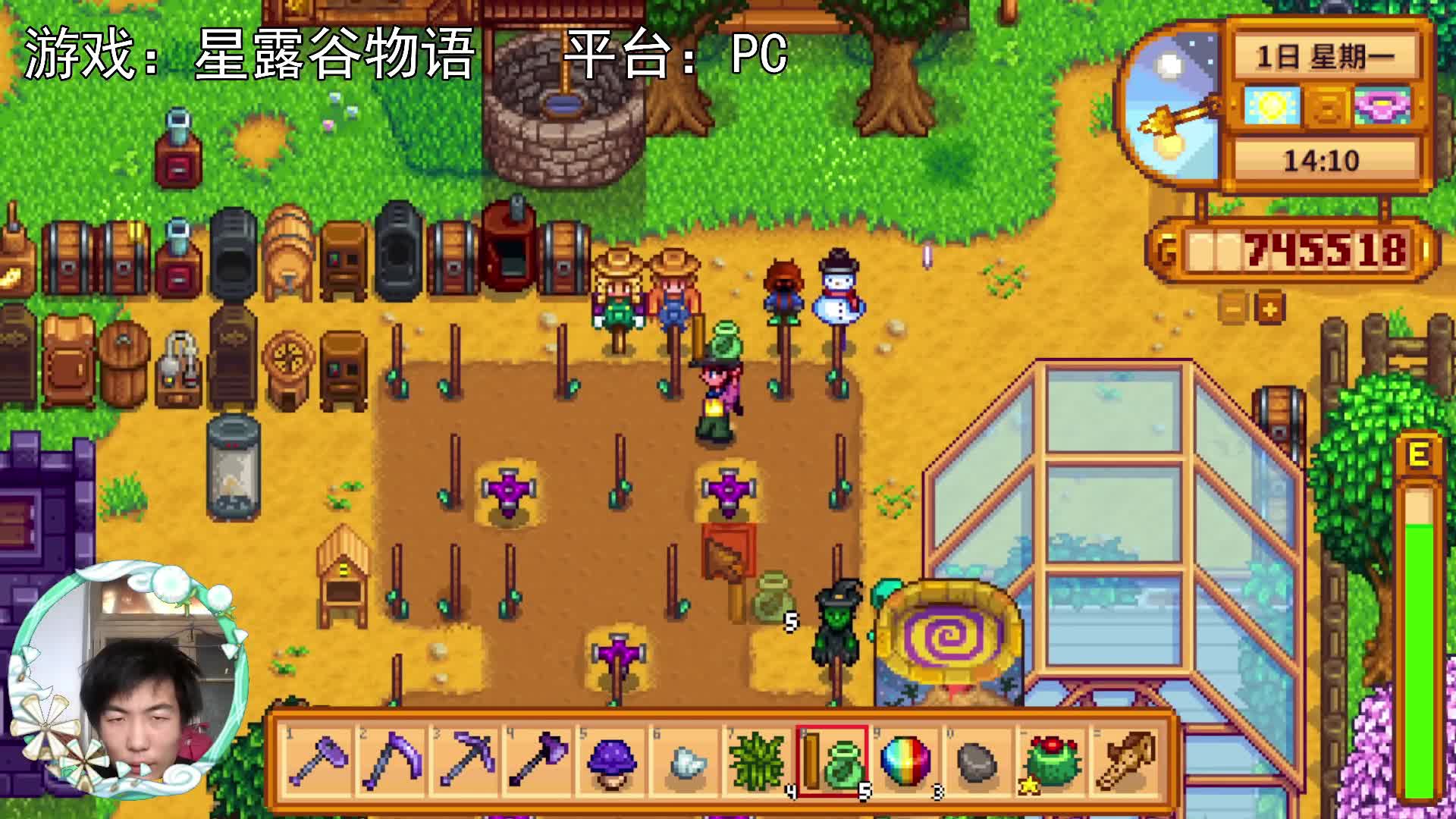 【星露谷物语】第八年，春天种青豆！